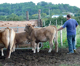 photo Handicap et agriculture, c'est possible